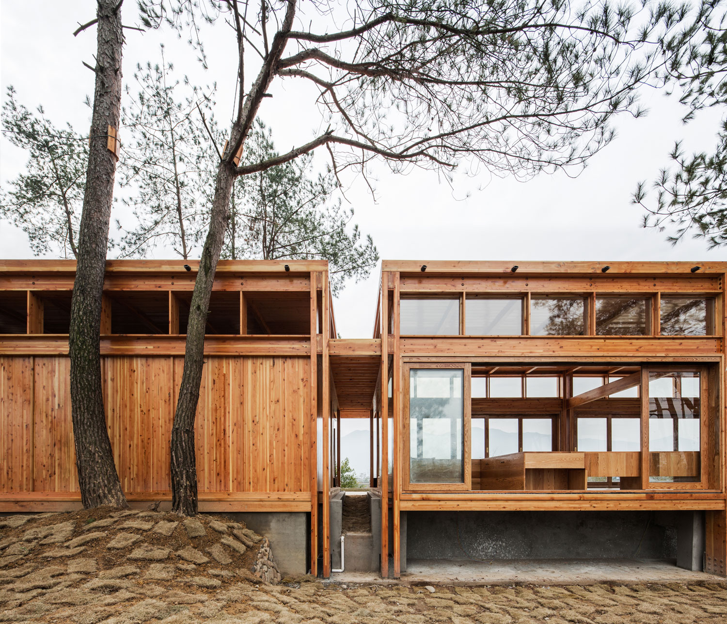 Pine Park Pavilion by Design and Architecture