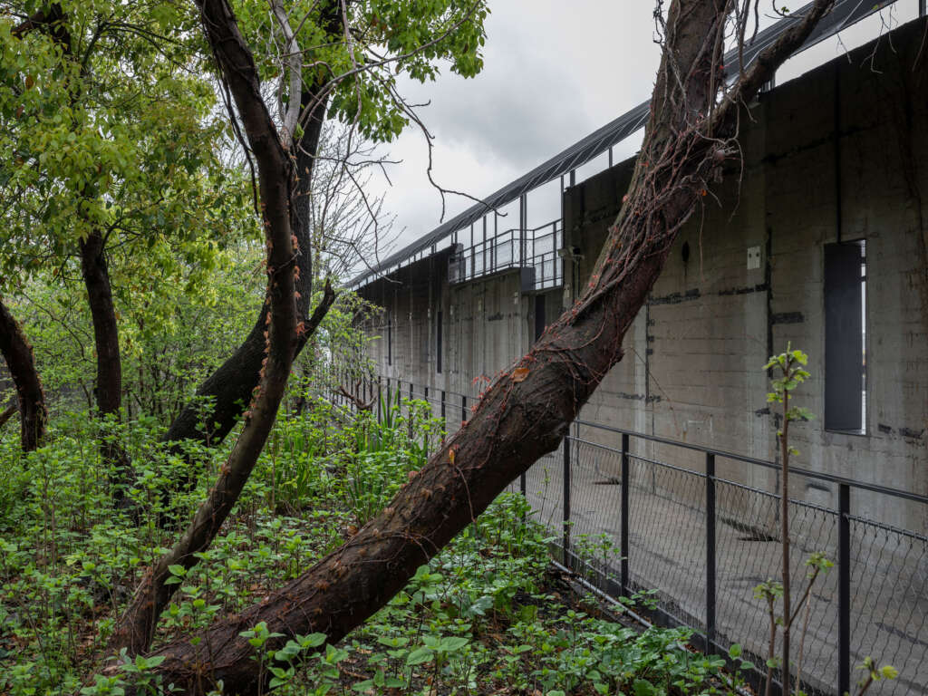 Riverside Passage Atelier Deshaus Walkway