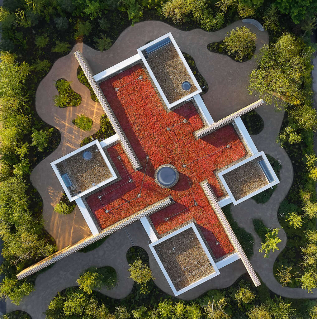 Maggie's Southampton AL_A Aerial Roof Birds-Eye Design