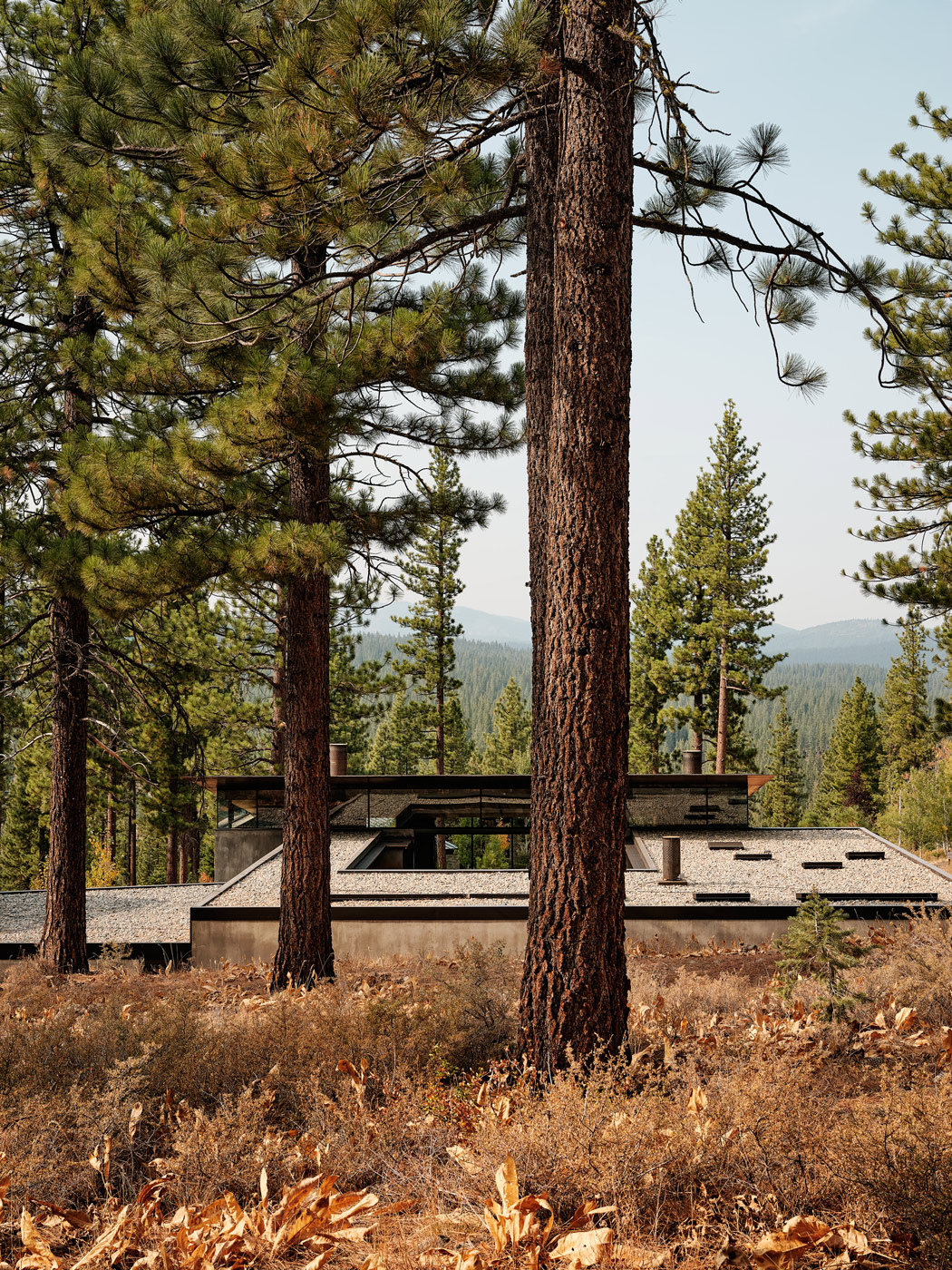 CAMPout Faulkner Architects Lake Tahoe House California Joe Fletcher