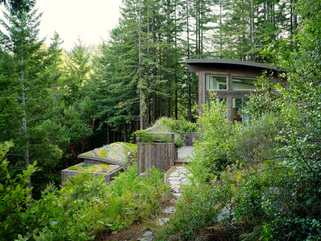 Mill Valley Cabins Feldman Architecture California Green Roof