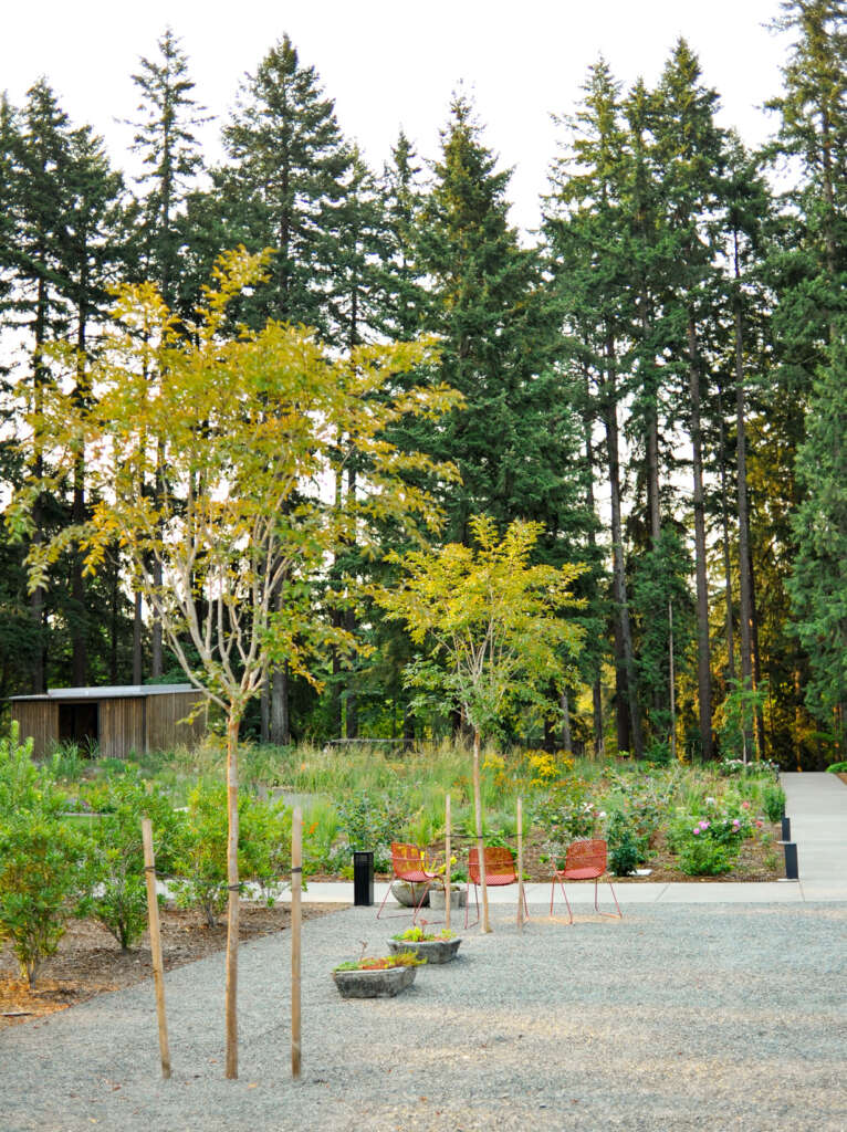 Leach Botanical Garden Morfologi Tanah Olson Kundig Portland Oregon Pavilion