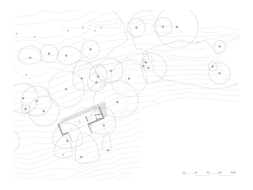 Looking Glass Lodge Michael Kendrick Architects Fairlight East Sussex Inggris Cabin Wood Cantilever Architecture Design Site Plan