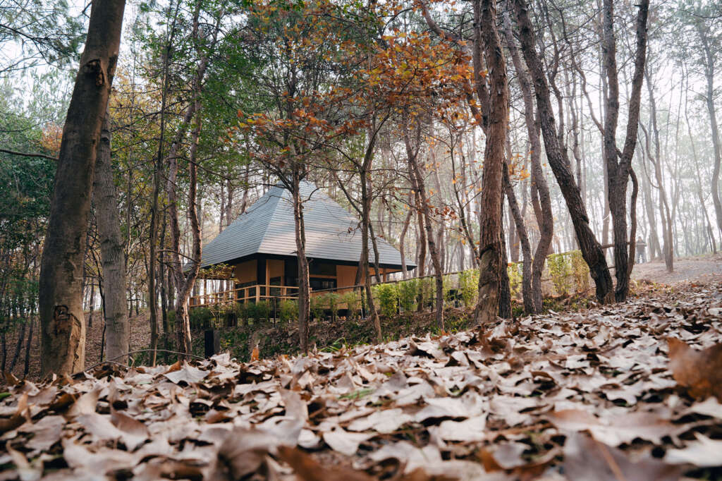 Wild Home #96 The Pyramid Cabin Wiki World Advanced Architecture Lab Huanggang China Architecture Design