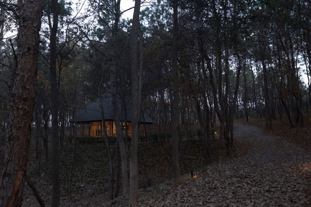 Wild Home #96 The Pyramid Cabin Wiki World Advanced Architecture Lab Huanggang China Architecture Design