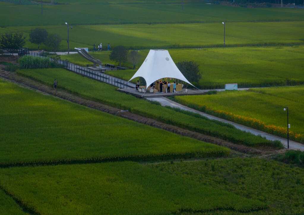 Tower Pavilion In Paddy Fields Jumping House Lab Paviliun Cina Hangzhou