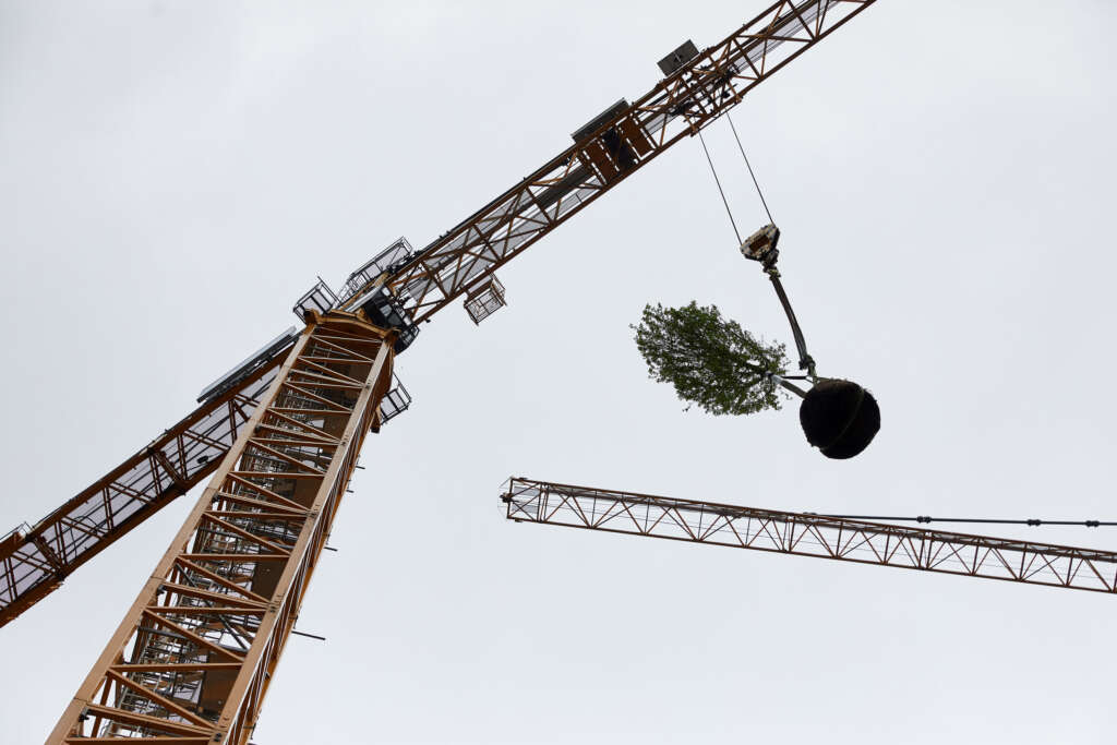 Pohon pertama berakar di hutan vertikal belanda Stefano Boeri Architetti di Utrecht