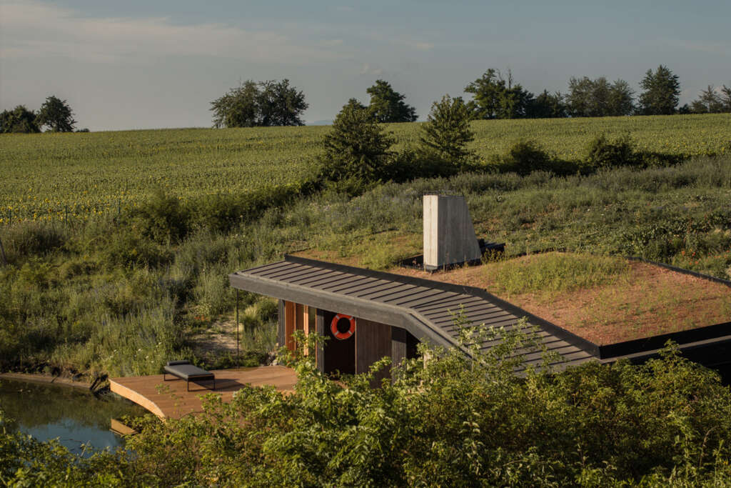CLT House Hello Wood Hungary Green Roof Concrete Chimney György Palkó