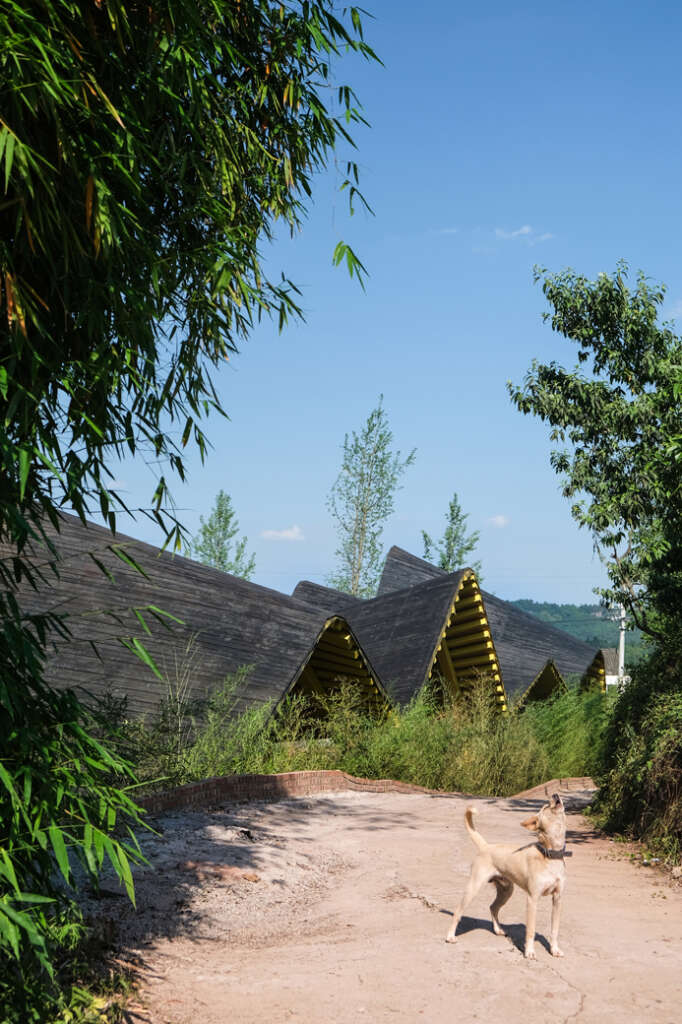 An Yue Qianlong·Guanzihe Village Agricultural Talent Center Archermit